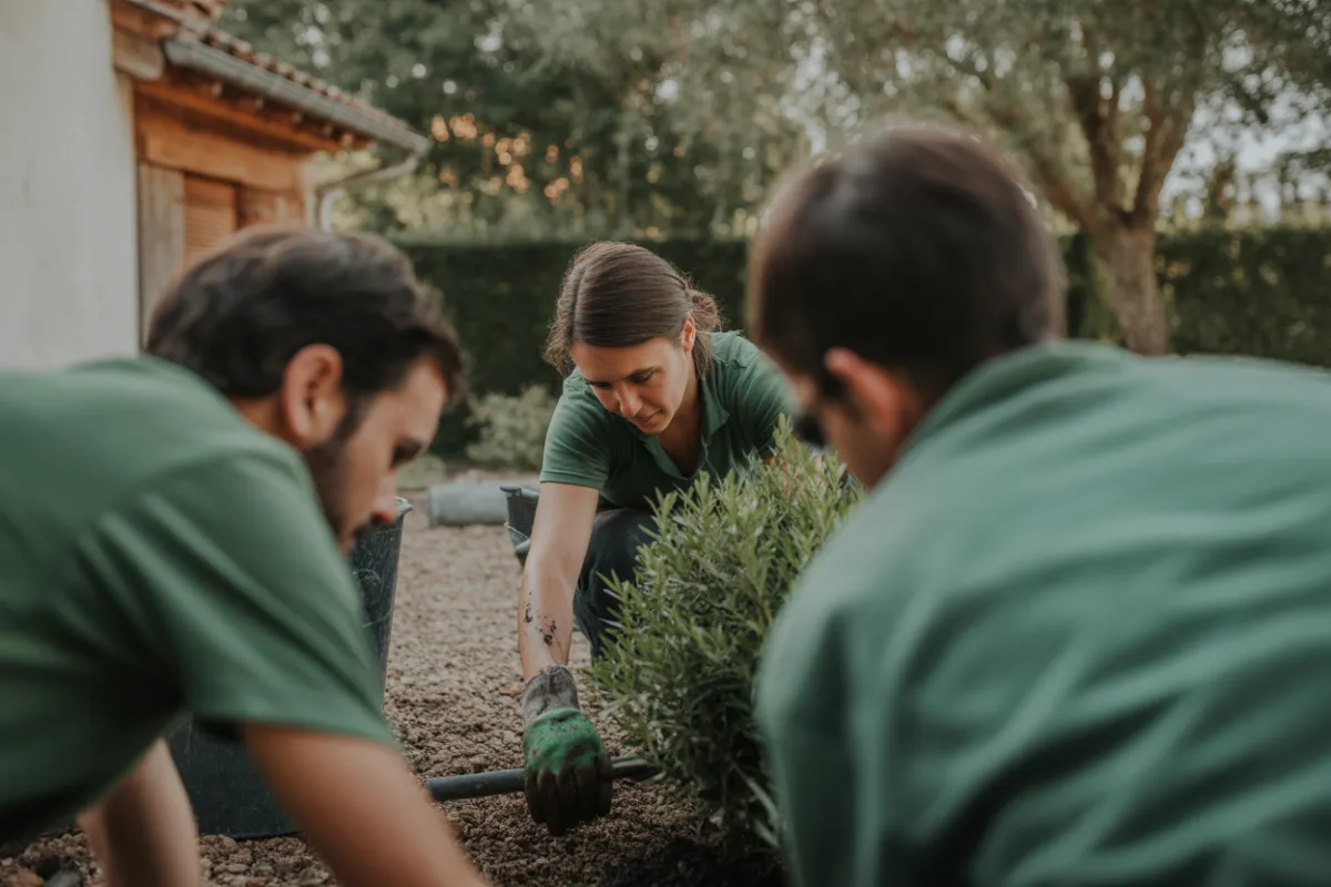 L'équipe Dream Paysage en action sur un chantier d'aménagement